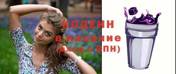 apvp Гусев