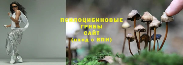 apvp Гусев