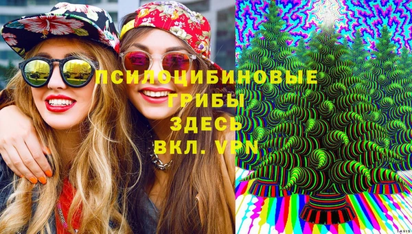 Альфа ПВП Гусиноозёрск