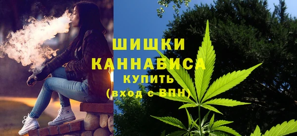 прущие грибы Горнозаводск