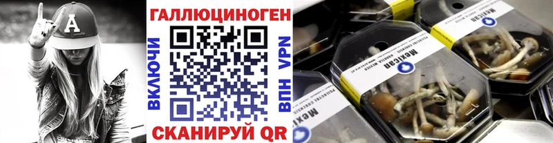 Псилоцибиновые грибы Psilocybine cubensis МЕГА ТОР Курганинск продажа наркотиков